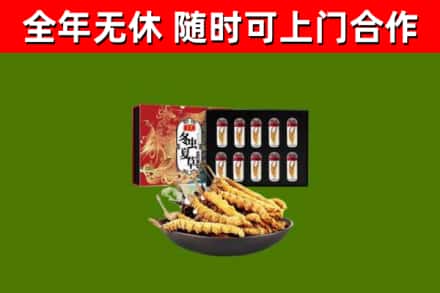 鸡冠烟酒回收冬虫夏草礼盒.jpg